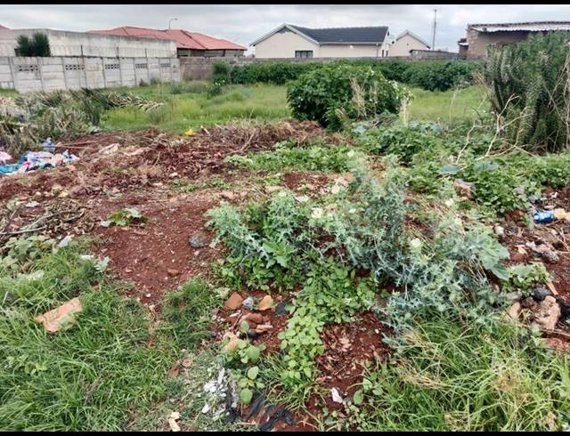 LAND FOR SALE IN VILLA LIZA